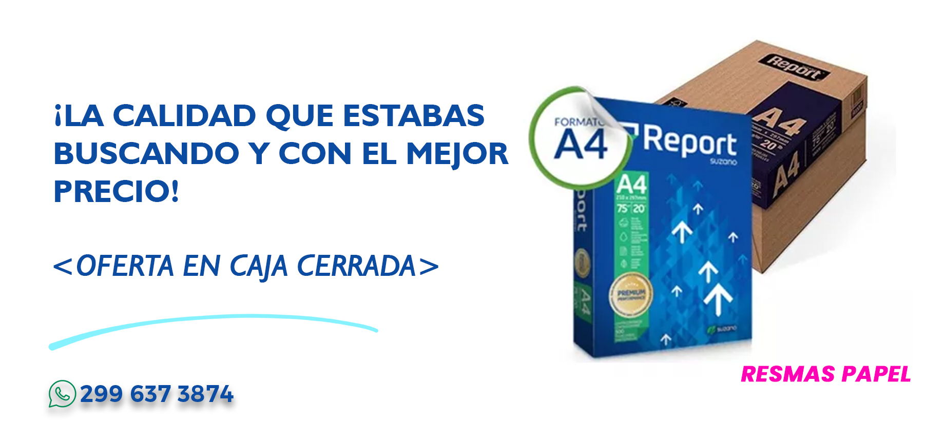 RESMAS REPORT